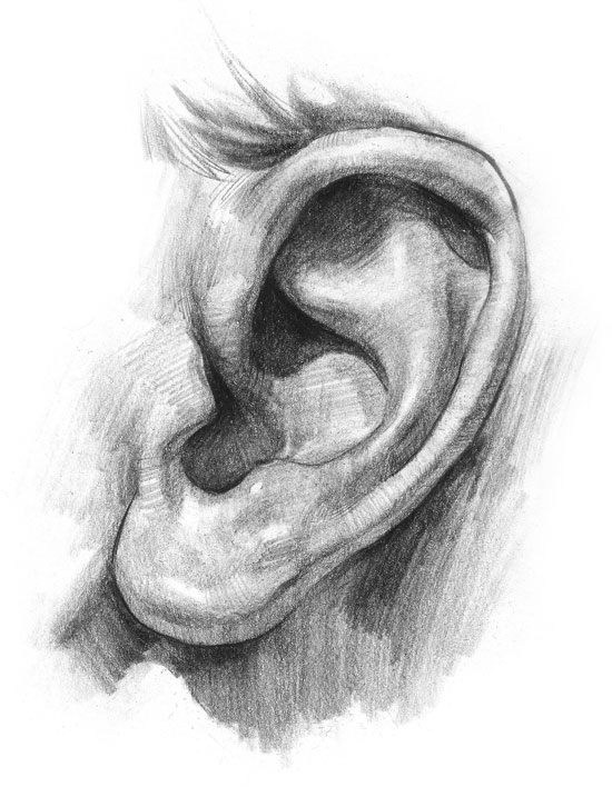 How to draw a comic-look human ear | free3DTutorials.com