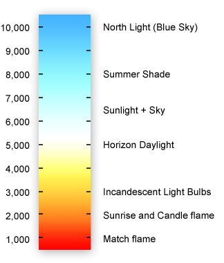 fluorescent bulb color guide