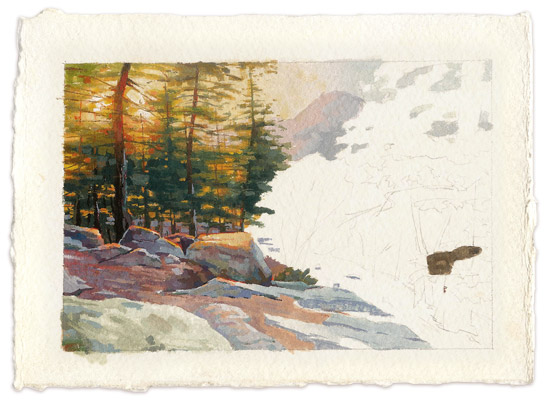 Forest, Part 4: Gouache Color Study – Stan Prokopenko