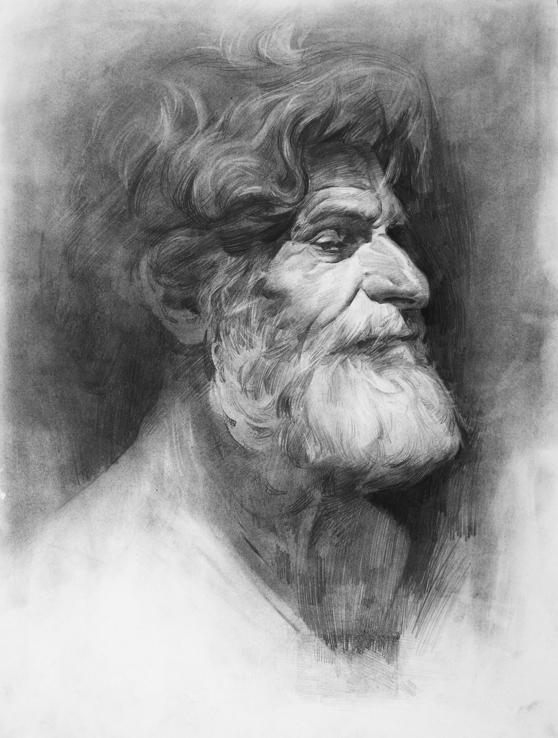 Share more than 158 beard man pencil sketch super hot