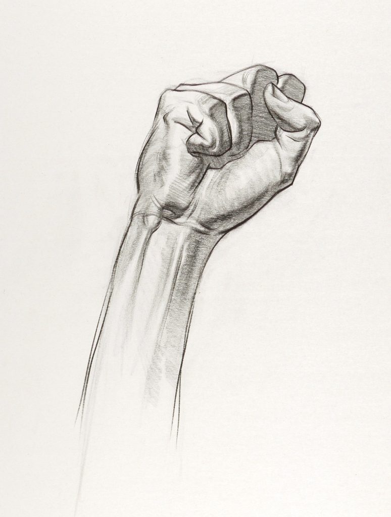 Hand Anatomy – Stan Prokopenko